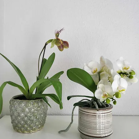 Charmerende Villalejlighed Pa 80 Kvm Inklusiv Gardhave Apartman